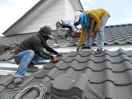 Best Roof Maintenance and Cleaning  in Greendale, IN